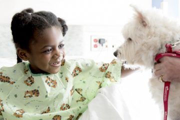 A pediatric patient pets a white therapy dog
