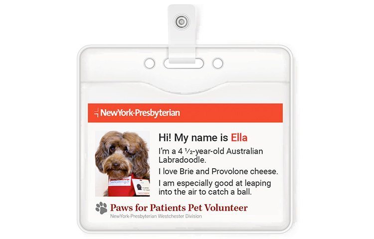 Therapy dog Ella's identification card