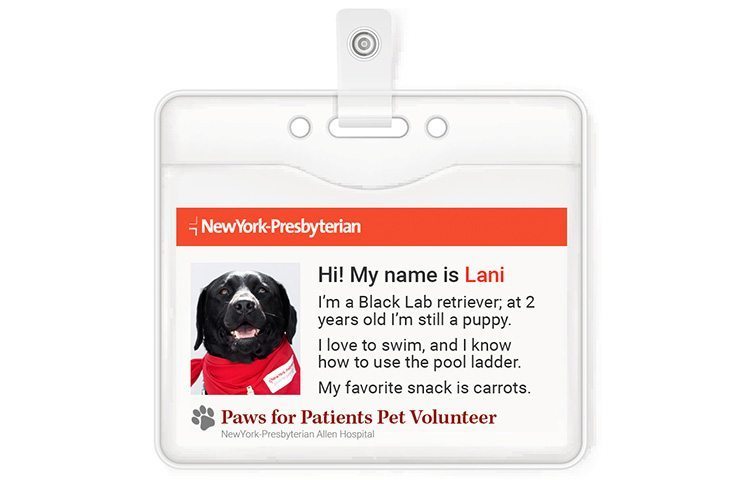 Therapy dog Lani's identification card