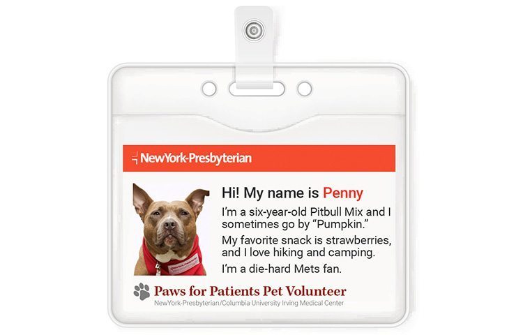 Therapy dog Penny's identification card