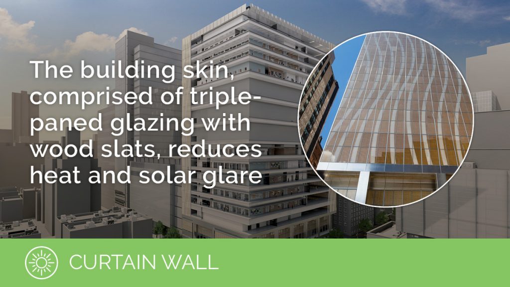 Curtain Wall | The building skin, comprised of triple-paned glazing with wood slats, reduces heat and solar glare.