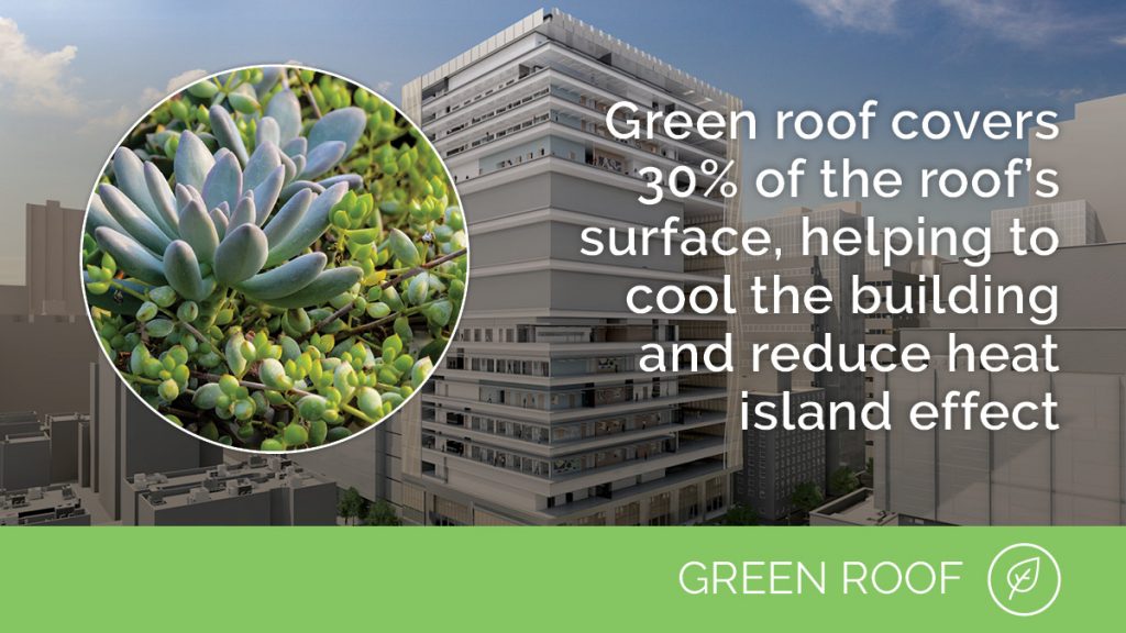 Green Roof | Green roof covers 30% of the roof's surface, helping to cool the building and reduce heat island effect.