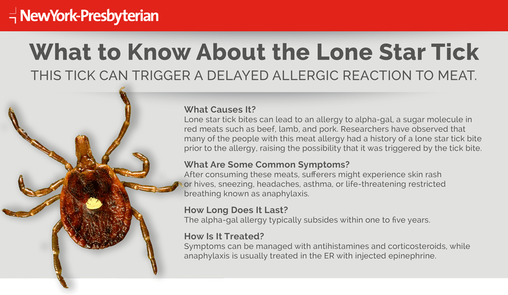 Infographic outlining what to know about the Lone Star Tick