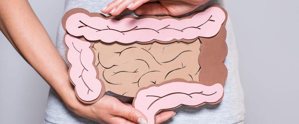 Woman holding collage of large and small intestine to connote bloating