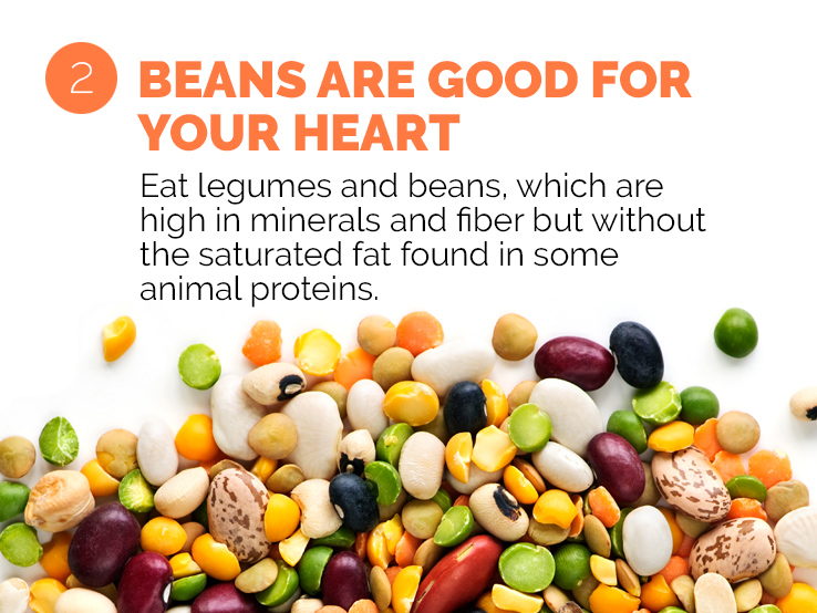 Text underscoring the importance of beans and legumes