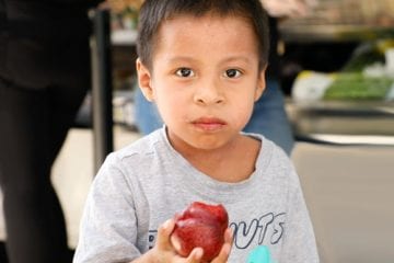 Boy eating an apple at the mobile food market