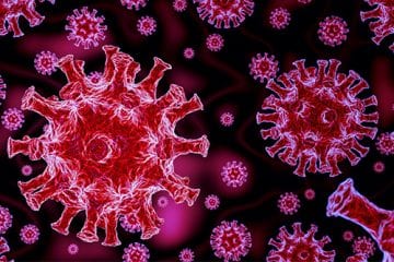 Illustration of the coronavirus
