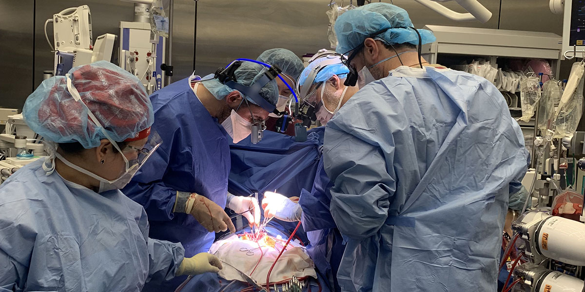 NYP doctors work on a partial heart transplant