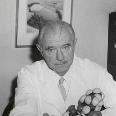 Dr. Vincent du Vigneaud