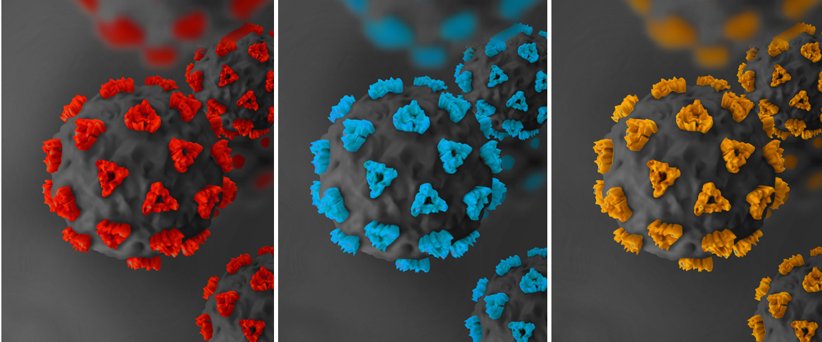 three images of the coronavirus representing the new COVID-19 variants