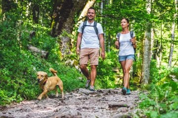 Man and woman walking on hiking trail with dog