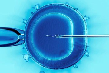 Image of the process of in vitro fertilization, or IVF, where a an egg is being fertilized with a sperm cell.