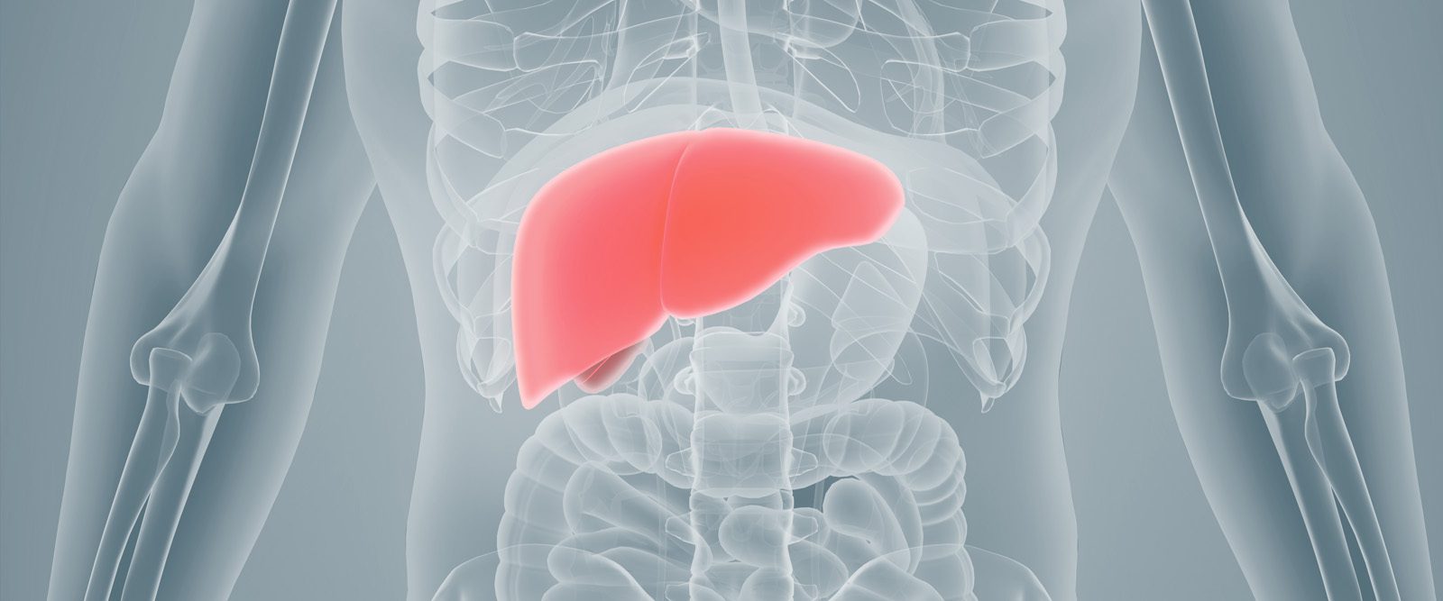 X-ray of liver for hepatitis C